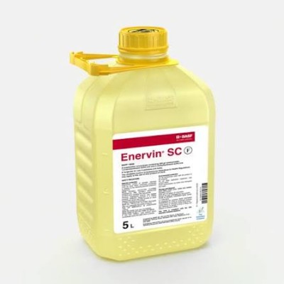 Enervin
