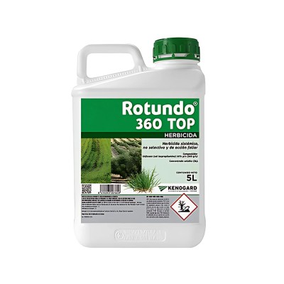 Rotundo 360 Top