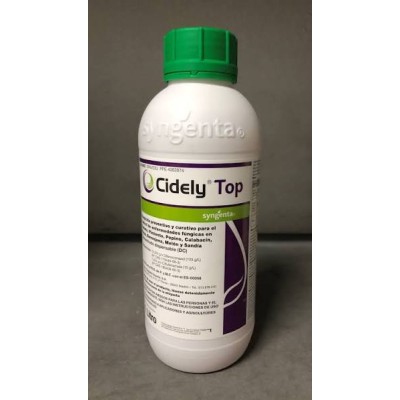 Cidely top