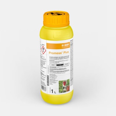 Promess Plus