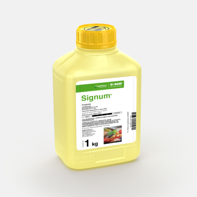 Signum